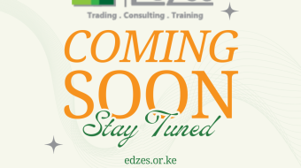 edzes coming soon project